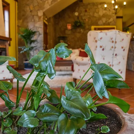 Hotel El Tejar 2*
