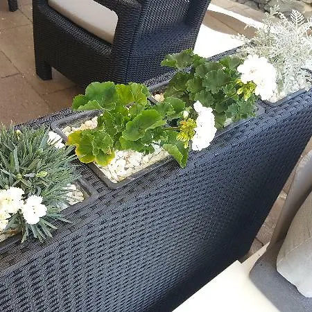 El Tejar فيلافلور