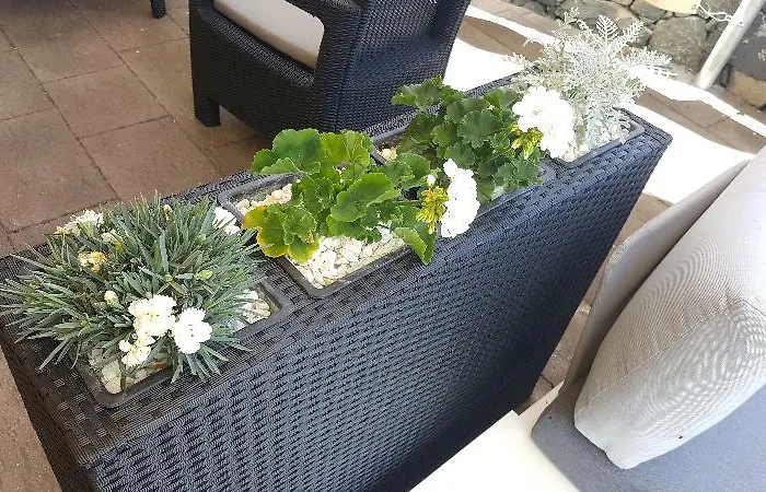 El Tejar 维拉弗洛尔