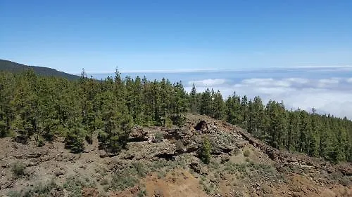 El Tejar 2* 维拉弗洛尔